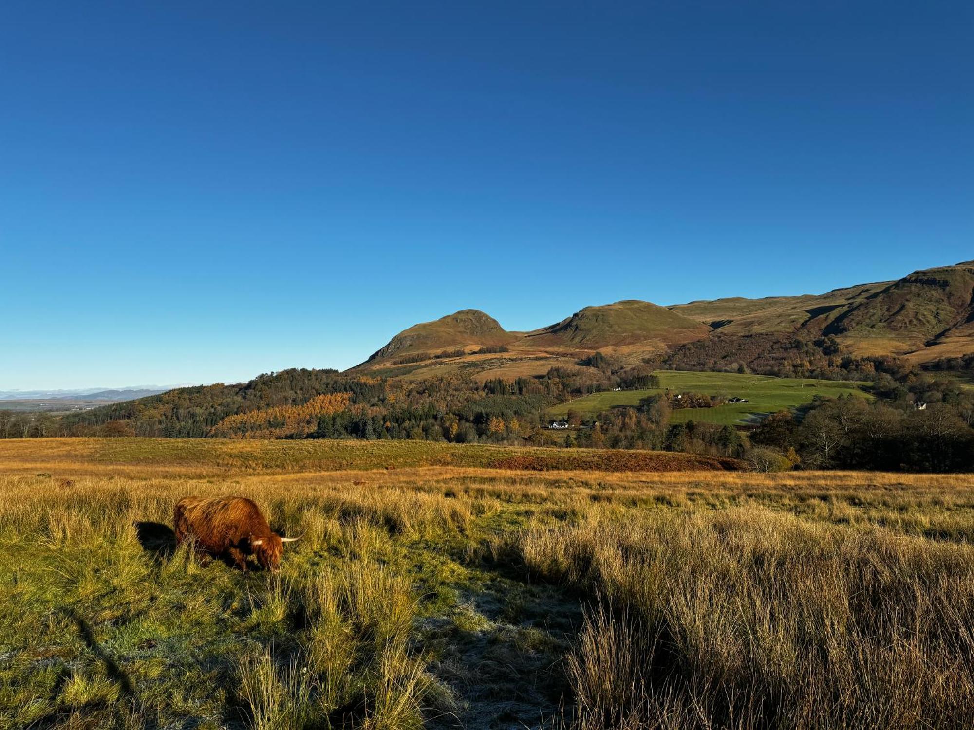 The West Highland Way Pitches Glasgow Exterior foto